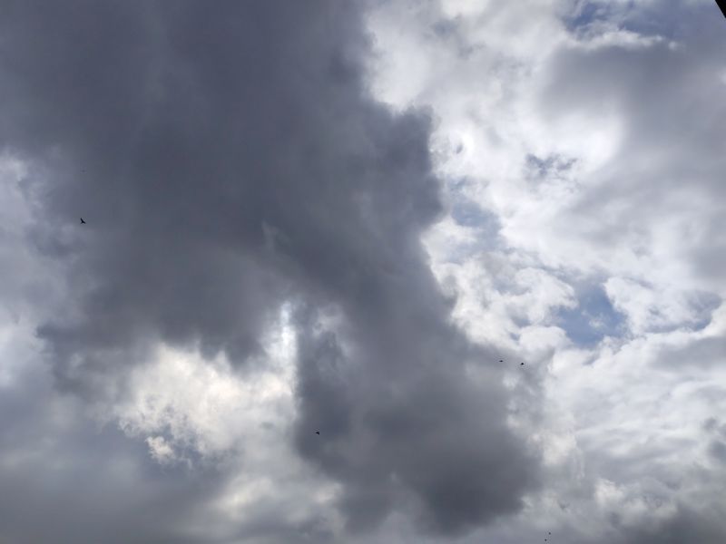 На предпраздничной рабочей неделе в Ростове будет идти снег