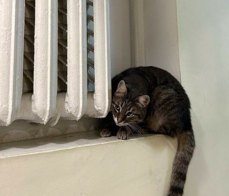 В пяти домов на проспекте Стачки в Ростове отключили отопление из-за дефекта на сетях