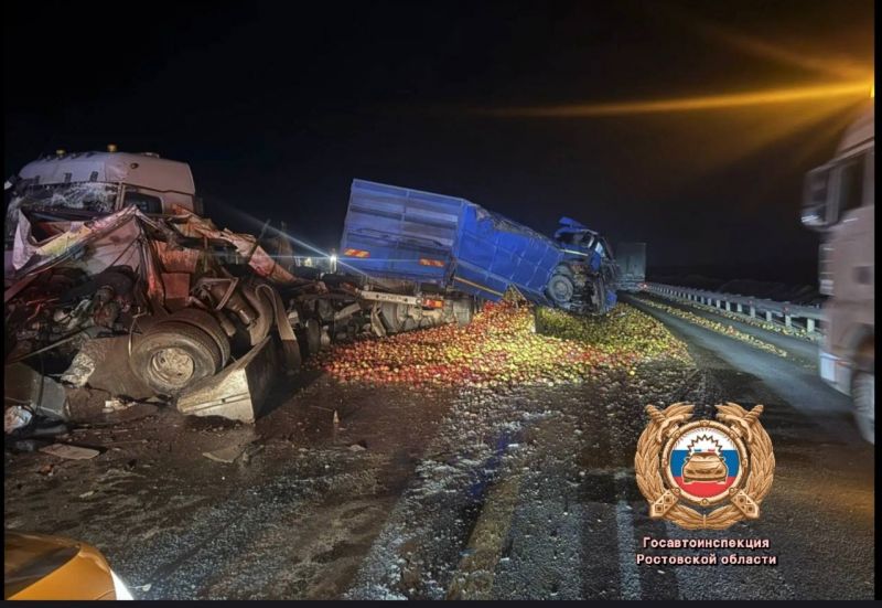 В Ростовской области водитель грузовика погиб в ДТП