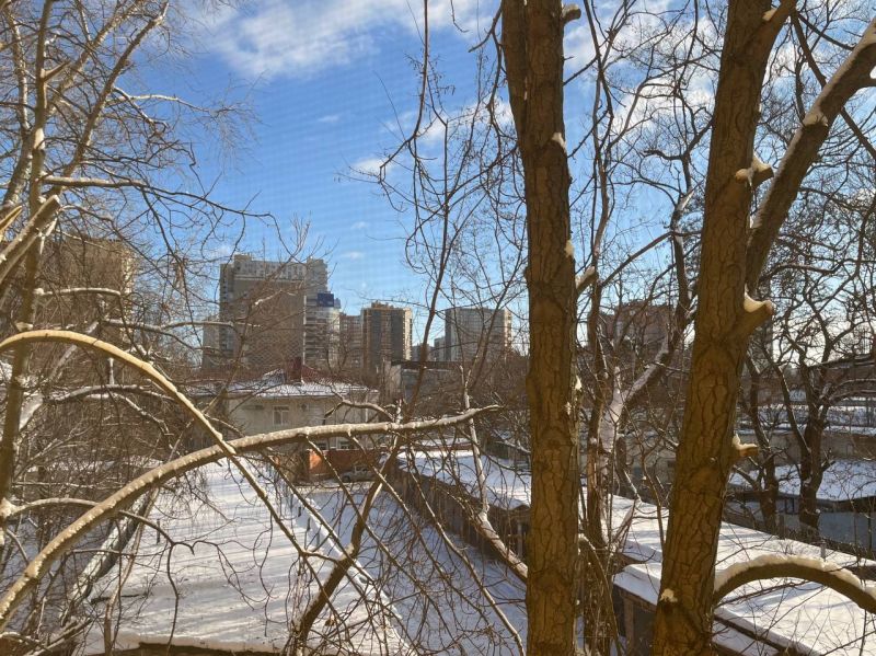 В Ростове перед Новым годом и в праздничную ночь будет морозно