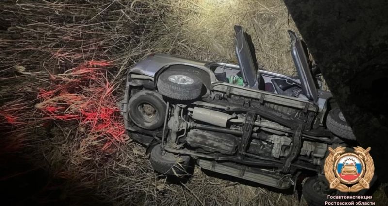 В Ростове иномарка упала с моста: водитель погиб