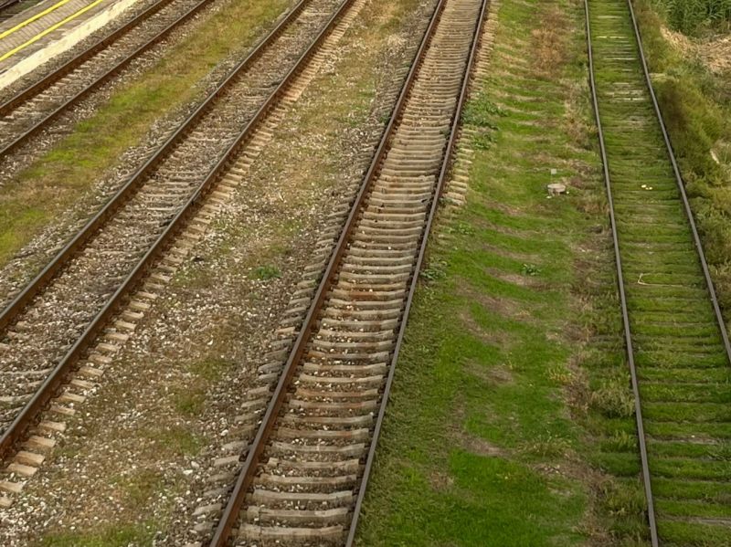 На Дону грузовой поезд сбил насмерть женщину, которая нарушила правила безопасности