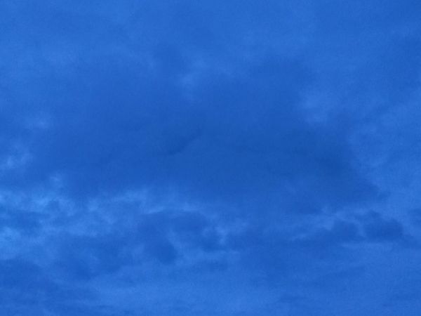 Два БПЛА уничтожили над Ростовской областью вечером 11 декабря