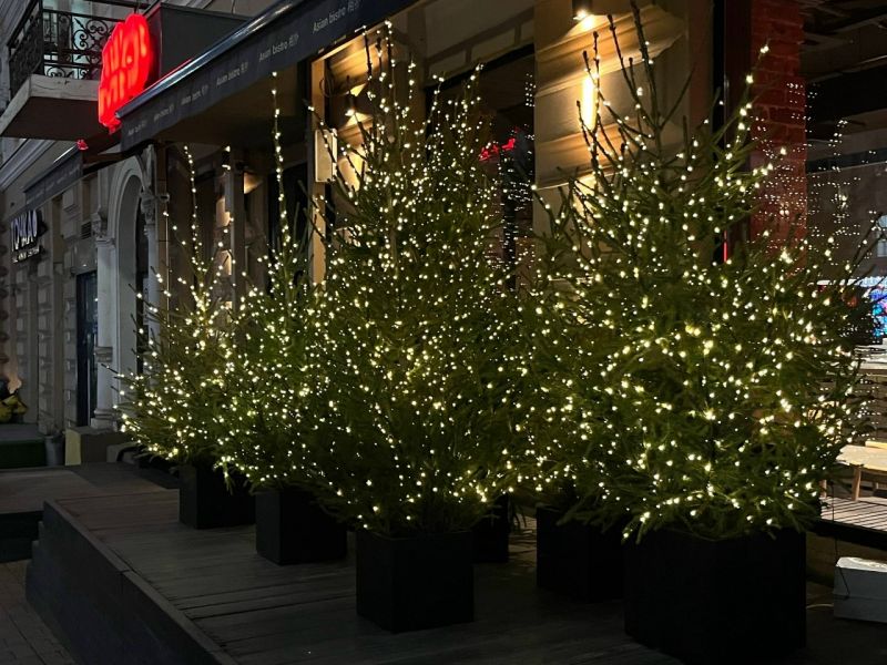 Заморозки до -4 градусов и шквалистый ветер накроют Ростовскую область на выходных