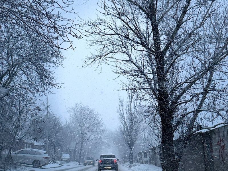 Ростовчан в Новогоднюю ночь ждет метель и морозы до - 8 градусов