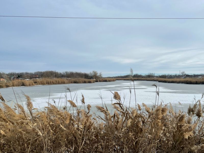 Ростовскую область ждет резкая смена погоды: от дождей до морозов -15 градусов