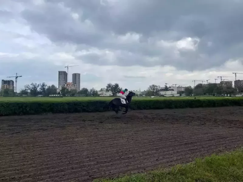 Минимущество добивается признания незаконным изменений в назначении земель ростовского ипподрома