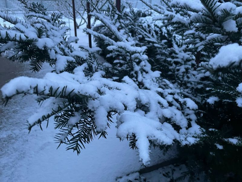 На расчистку снега в Ростове-на-Дону вышли свыше 400 дворников