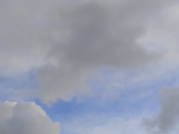 Еще шесть беспилотников уничтожили над Ростовской областью 12 января