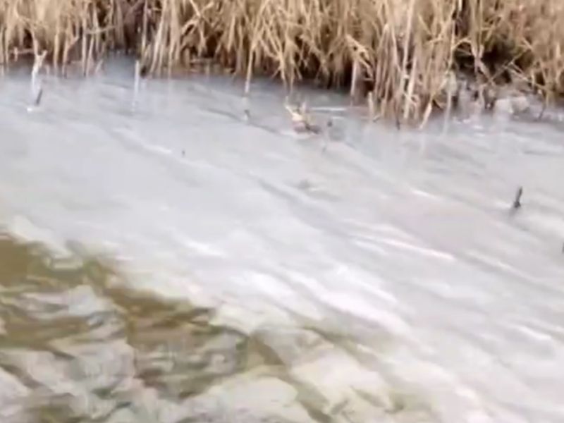 В Волгодонске местные жители обнаружили слив нечистот в  Мокро-Соленовскую балку.