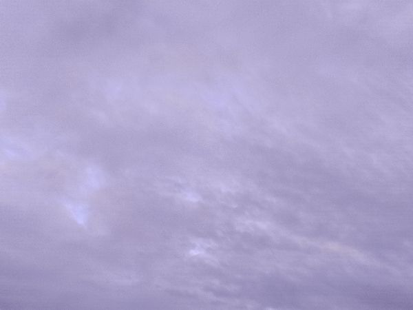 Четыре БПЛА уничтожили над территорией Ростовской области