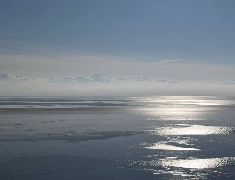 В акватории Азовского моря количество рыбы снизилось до самой низкой отметки