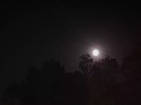 В небе над Азовским морем сбили один беспилотник