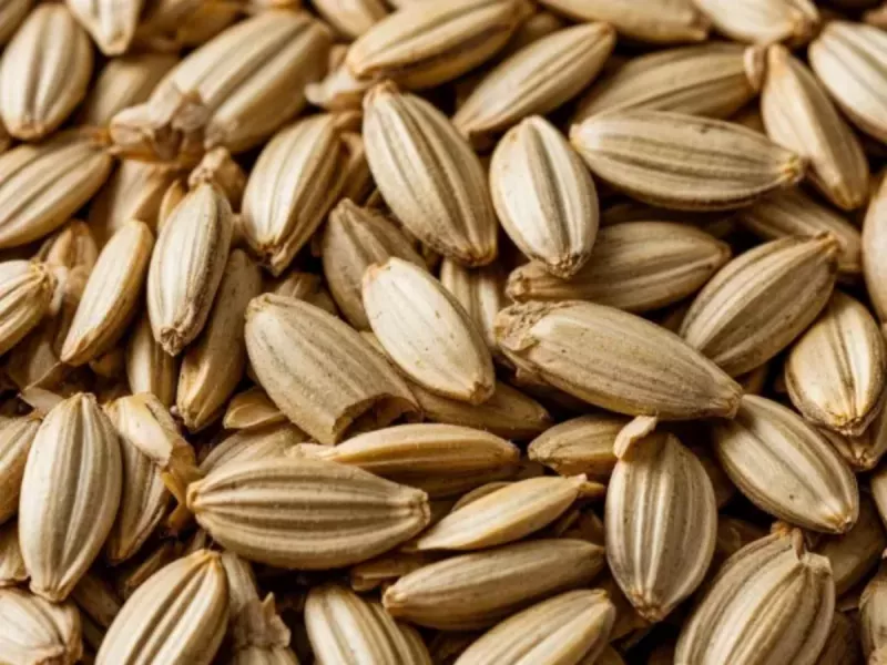 В Ростовской области обнаружена крупная партия подсолнечника, зараженная амброзией