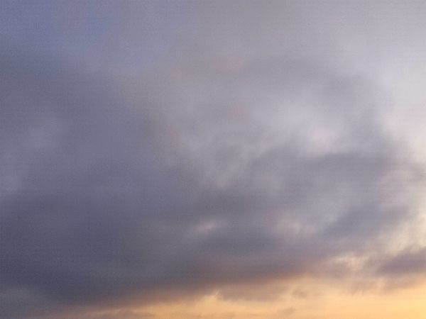 Девять БПЛА уничтожили над Ростовской областью