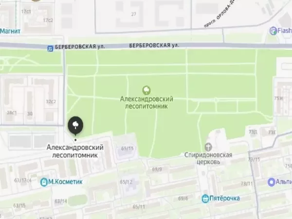 Жители Ростова просят запретить парковку транспорта в Александровском лесопитомнике