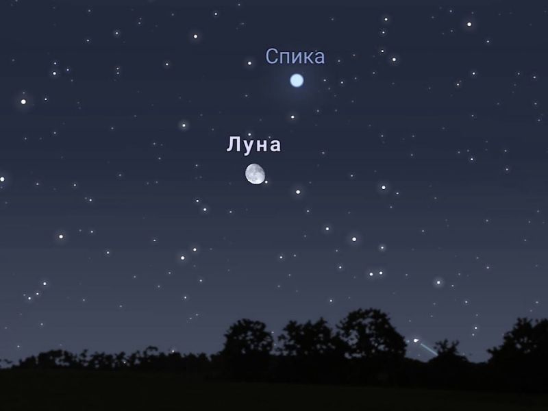 Ростовчане смогут увидеть сближение Луны с яркой звездной Спика 6 марта