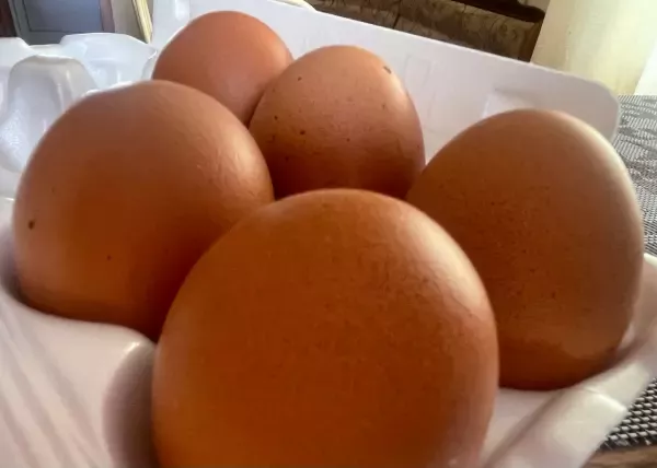 В Ростовской области цены на яйца выросли на 16%  в феврале