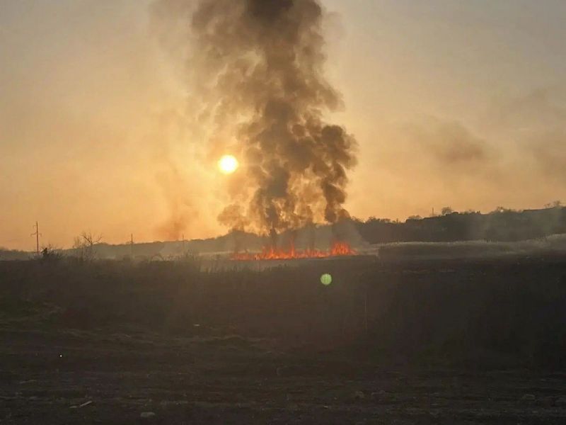 Вблизи Таганрогской птицефабрики загорелись камыши на большой площади