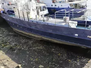 Уровень воды в Цимлянском водохранилище упал до минимума за три года