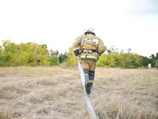 В Ростовской области пожарные проведут более 30 выжиганий сухостоя