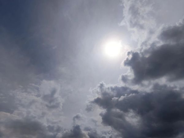 В Ростовской области 19 апреля ожидаются дожди, гроза и сильный ветер