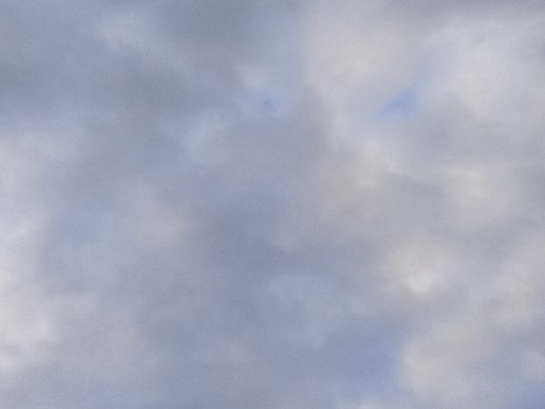 БПЛА сбили в городе Каменск- Шахтинский Ростовской области