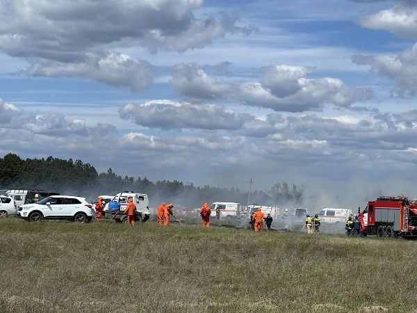 За сутки на Дону произошло 11 пожаров