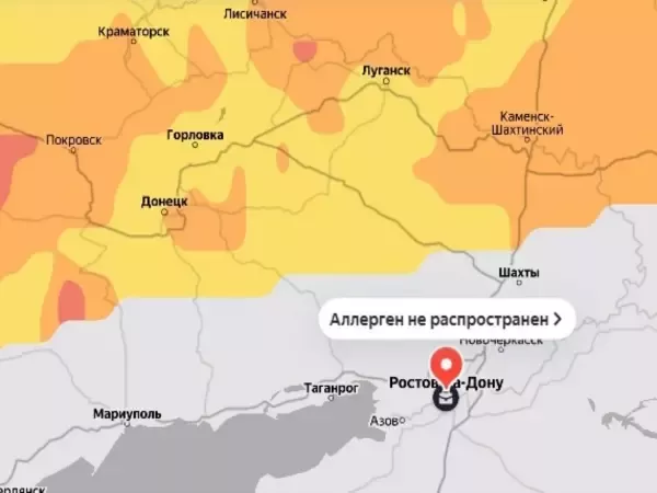 В Ростовской области зафиксирована активность пыльцы березы