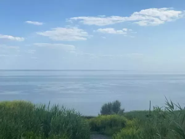 В ближайшие сутки в Ростове ожидается ветровой сгон воды