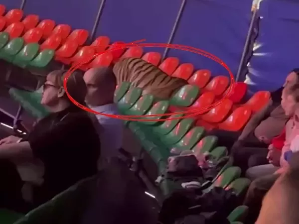 К расследованию уголовного дела после случившегося в цирке Ростова привлекут зрителей