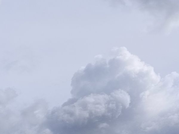 Над Ростовской областью сбили БПЛА 6 мая