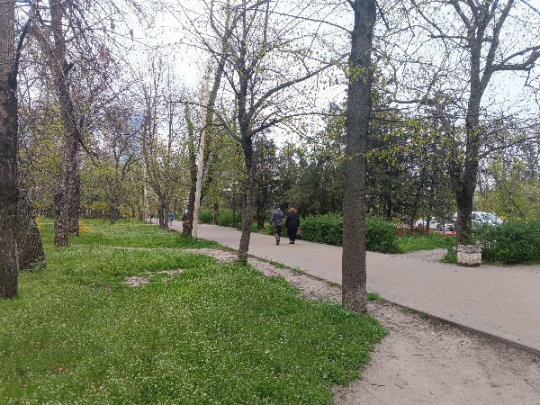 В Ростовской области 3 мая ожидаются заморозки до -3 градусов
