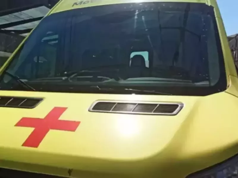 «Ниссан Альмера» с двумя пассажирами влетела в дерево в Волгодонском районе